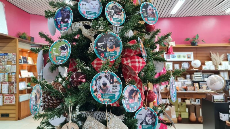 CDL e Grafipel lançam a campanha natalina para ajudar animais