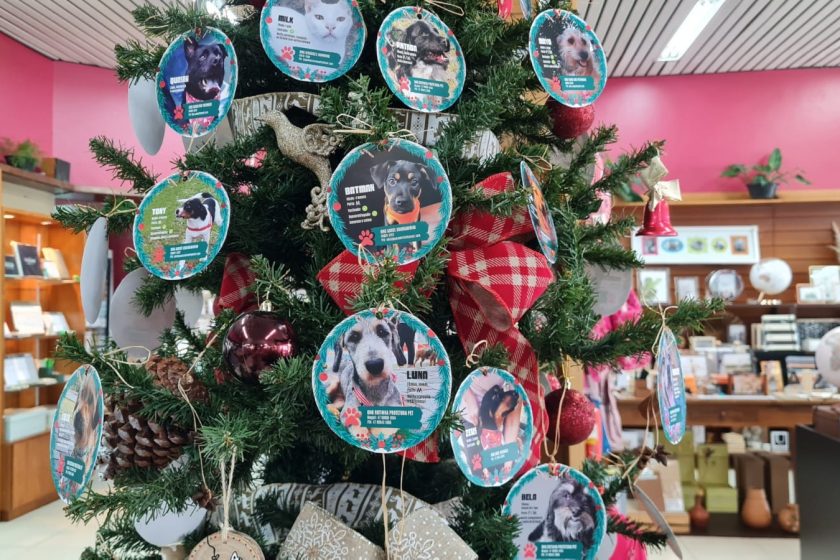 CDL e Grafipel lançam a campanha natalina para ajudar animais